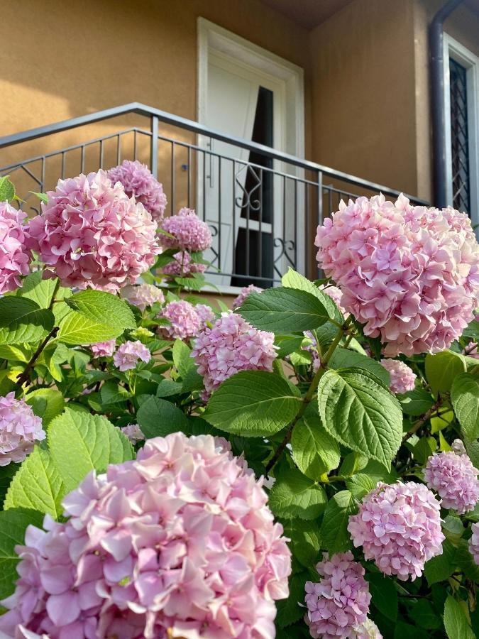 Ca Framari - Casa Vacanze Marciaga Екстериор снимка